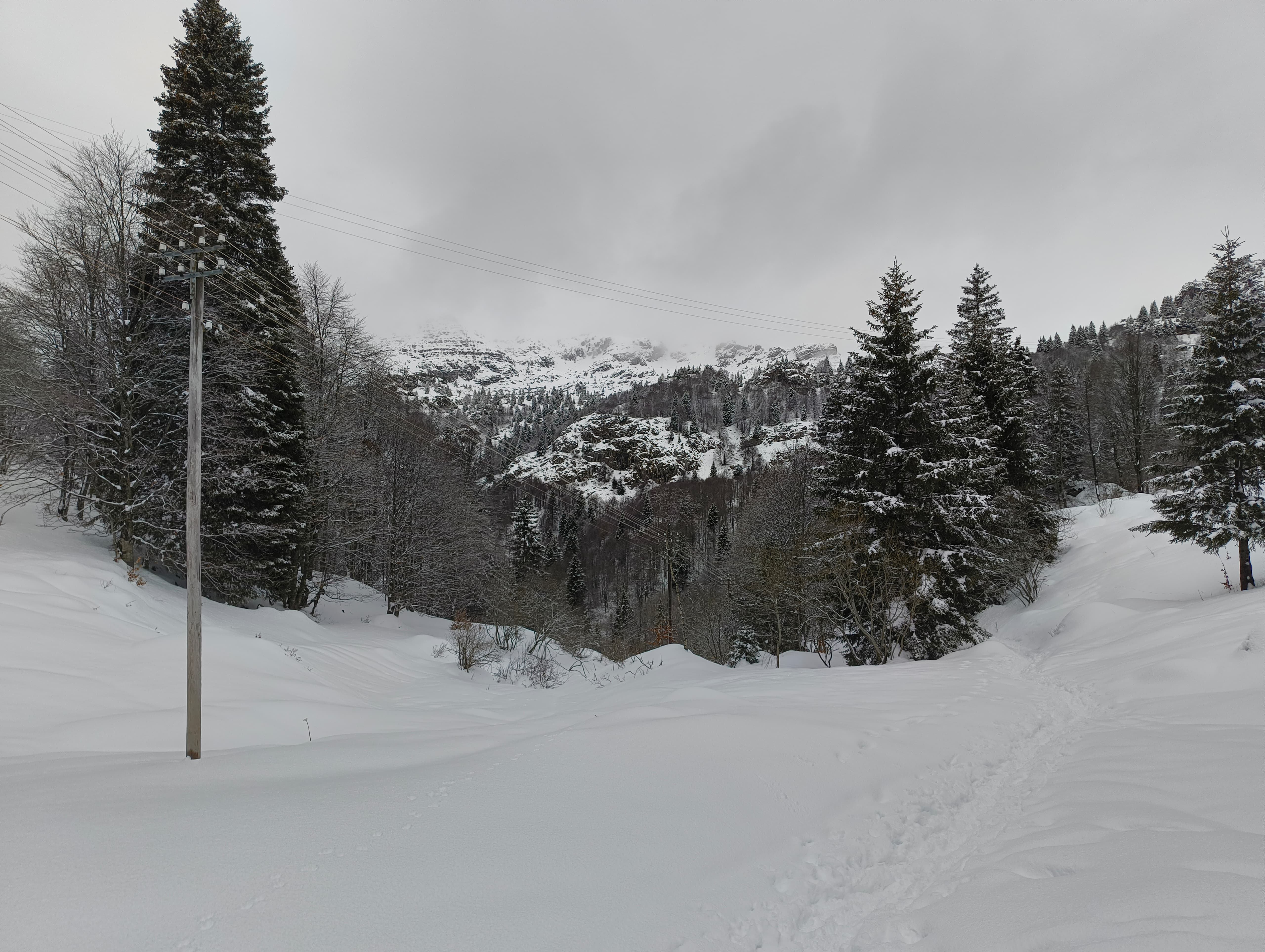 Foto n° 2 del trekking Monte Sodadura